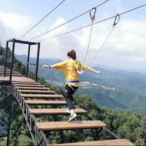 高高度に設置された観光探検橋を段階的に歩くスリリングな橋高地遊具 - Product Image 3