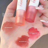 Brillant à lèvres liquide mat Rouge à lèvres velours minéral longue durée Baume à lèvres non collant à haute teneur en pigment Marque privée Maquillage avec logo personnalisé
