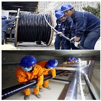 Harga Pabrik Kabel Listrik Inti Tembaga Tegangan Rendah 0.6/1kv Berlapis PVC Tahan Api  Kabel Daya LV Berisolasi XLPE