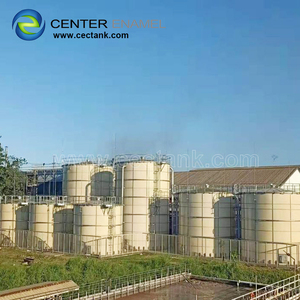 Lo smalto del centro fornisce il progetto di EPC per il progetto biologico del gruppo verde della Cina biogas è stato costruito in Mongolia interna - Product Image 3