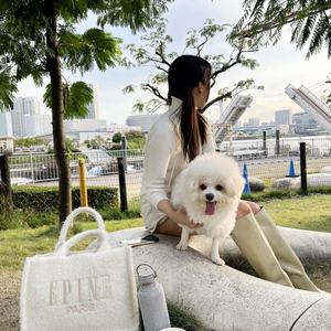 Sac fourre-tout réutilisable respectueux de l'environnement, essentiel pour l'automne et l'hiver, sac à main en peluche douce, grande capacité, sac d'épicerie - Product Image 1