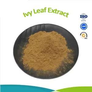 Supplement Food Grade Ivy Leaf Powder Hedera Nepalensis Extract Powder Brown