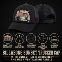 Casquette Trucker Personnalisée Billabong Sunset Palm Tree en Maille, Style Vintage Surf, Vente en Gros, Fabricant OEM, Faible MOQ