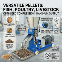 Machine à granulés d'aliments pour animaux à haute productivité, moulin à granulés, granulateur d'aliments, pelletiseur