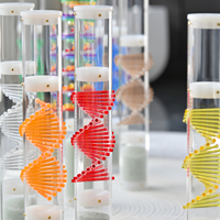 Jinfang DNA Crystal Rain Stick for Sound Healing Premium Rainstick Percussion Instrument for Meditation Sound Bath Therapy