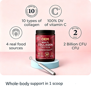 OEM ODM Polvo de Péptidos de Colágeno Múltiple GMP Halal 40 Porciones 404g con Vitamina C y Probióticos - Product Image 2