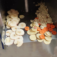 Bananen, groenten, mango's, uien, bananen, cassave, plantain chips snijmachine