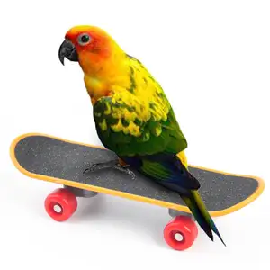 Pet Bird Toys Mini Training Skateboard Toy Mini Slide Plate For Budgies Parakeet Funny Toy Intelligence Bird Accessories