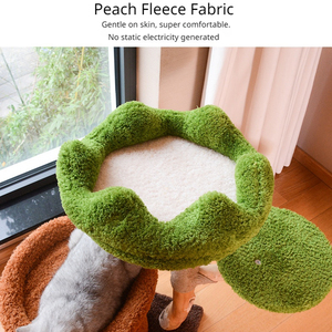 ต้นไม้แมวไม้เนื้อแข็ง เสาซิซอล ที่นอนแมว ขนาดเล็ก ประหยัดพื้นที่ ทำจากไม้ผลไม้ธรรมชาติ โครงปีนป่ายแมวขนาดใหญ่ - Product Image 3