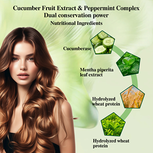 Los Mejores Productos para <span class=keywords><strong>el</strong></span> Cuidado del Cabello con Pepino y Menta, Champú y Acondicionador Voluminizadores, Nutre, Reduce <span class=keywords><strong>el</strong></span> <span class=keywords><strong>Frizz</strong></span>, Compatible con OEM, Set para <span class=keywords><strong>el</strong></span> Cuidado del Cabello - Product Image 3