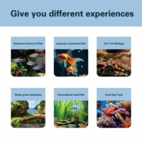 Aquarium en verre Relaxlines Wholesale 160L pour poissons d'eau douce et d'eau salée avec éclairage LED et filtration latérale