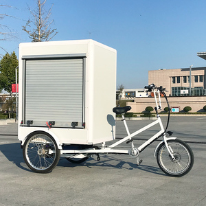 Vélo cargo électrique 500w avec moteur Mini <span class=keywords><strong>Van</strong></span> <span class=keywords><strong>Bike</strong></span> Cargo Trikes 3 roues Cargo <span class=keywords><strong>Bike</strong></span> à vendre - Product Image 5