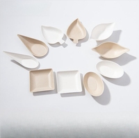 Plateau de service pour petits apéritifs jetables biodégradable en canne à sucre, mini assiette de dégustation, cuillère en forme de feuille de citron et d'œuf
