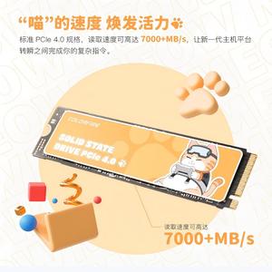 SSD Baru Kingbank ME700 PRO M.2 NVMe PCIe 4.0 X4 Internal Solid State Drive 2280 untuk Laptop Desktop Tersedia - Product Image 3
