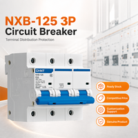 Disjoncteur à boîtier moulé NXB-125 courbe D 63A 80A 100A 125A pour contrôle industriel et protection de moteur - Approvisionnement en gros