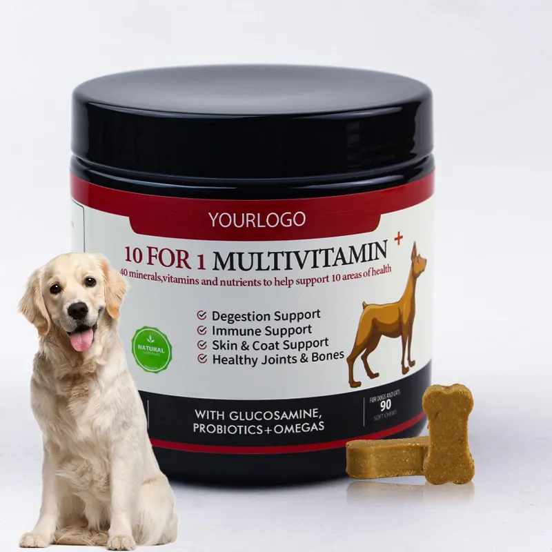 Vente en gros de suppléments durables pour chiens, vitamines et minéraux 10 en 1, Glucosamine Coq10, supplément multivitamine pour chiens et animaux de compagnie