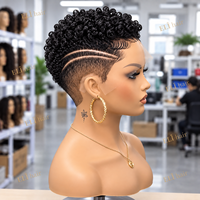 Perruque Courte Bouclée en Cheveux Humains Prête à l'Expédition, Modèle Pixie Cut Entièrement en Dentelle, Sans Colle, Pré-Pluckée, Noire Naturelle, pour Femmes Noires