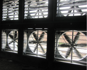 Ventilateur <span class=keywords><strong>d</strong></span>'extraction mural, ventilateur de ferme Ce en acier inoxydable AC ventilateurs à flux Axial pièces de rechange gratuites prix <span class=keywords><strong>extracteur</strong></span> <span class=keywords><strong>d</strong></span>'<span class=keywords><strong>air</strong></span> industriel <span class=keywords><strong>D</strong></span> 6 pièces - Product Image 4
