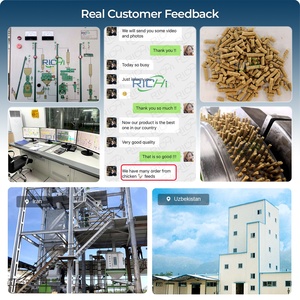 Ligne de production de granulés d'aliments RICHI 1-120T/H - Usine d'aliments personnalisée CE EPC, ligne de traitement de granulés d'aliments pour bétail et volailles - Product Image 4