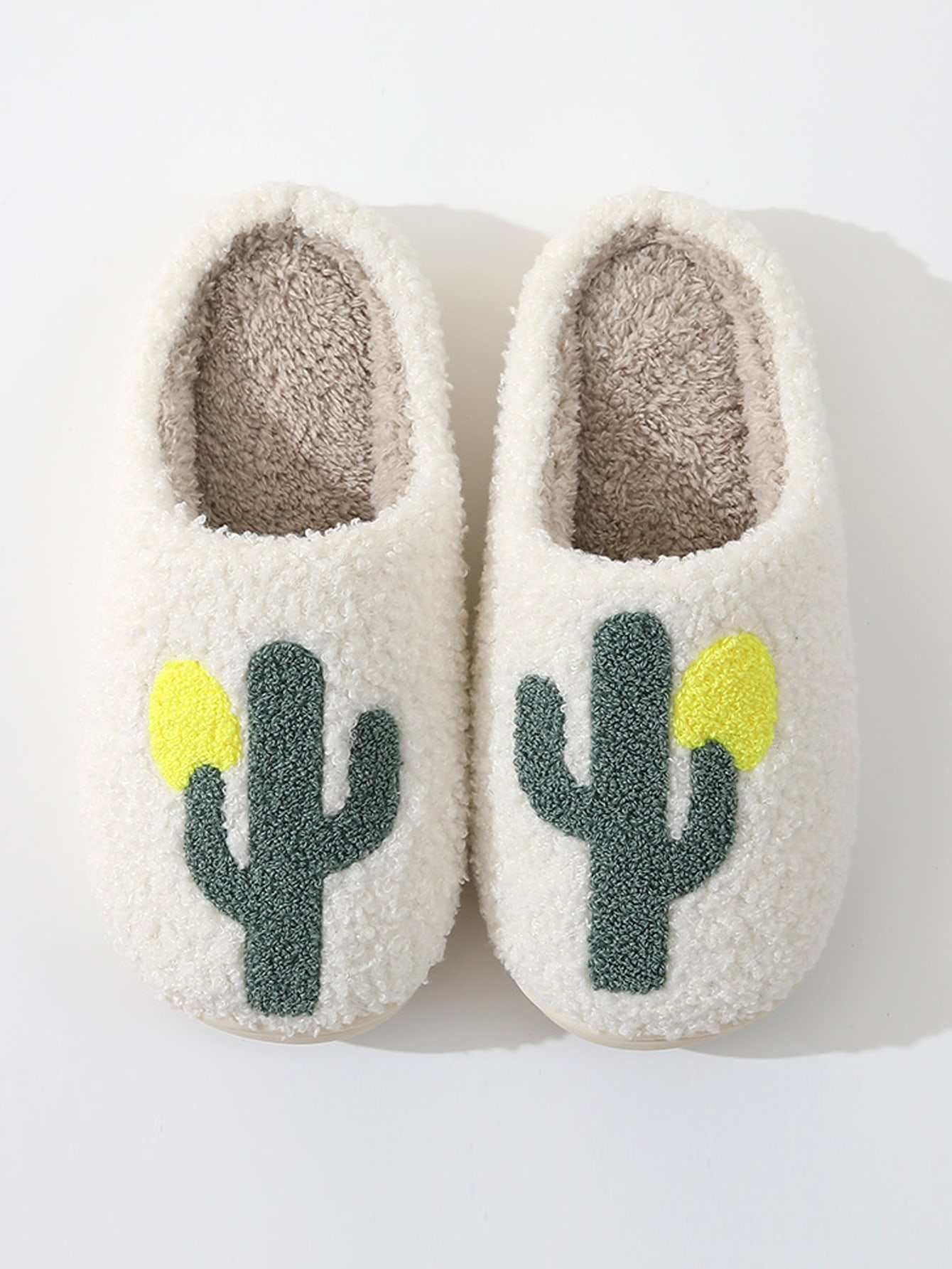 กระบองเพชรสีขาว