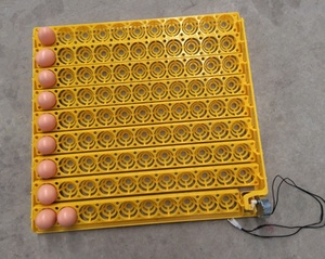 ZH-196 Lồng Ấp Trứng Để Nở 196 Trứng Đang Được Bán/Khoảng 200 Lồng Ấp Trứng Để Bán/Ấp Hộp Để Nở Khoảng 200 Trứng - Product Image 2