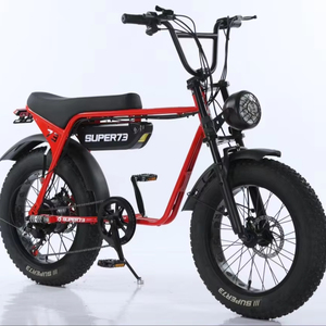 Alibaba.com上の高品質なスーパー73電動自転車メーカーとスーパー73