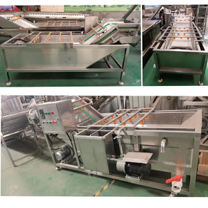 Pompe Moteur-Machine à laver à bulles d'air pour légumes Fruits Champignons pour nettoyer les tomates Carottes Fraises Pommes - Product Image 6