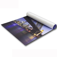 Rouleaux de papier synthétique pp pour impression éco-solvant à séchage rapide, supports d'impression numérique