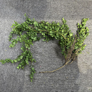 Guirlande artificielle d'eucalyptus Flower Queen, 100cm-200cm, verdure suspendue résistante aux UV, décoration murale, bouquet - Product Image 3
