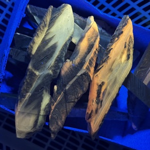 Venta al por Mayor de Pequeñas Piezas Naturales de Yeso Nepalí, Talladas a Mano, de Alta Calidad, Estilo Bohemio, Forma Irregular - Product Image 3