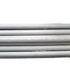 ANSI B36.19 Stainless Steel Seamless Pipe Tube Inox 316 316l Industrial Pipe