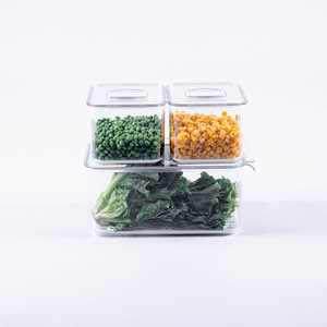 Factory direct sale vegetable fresh-keeping box fridge container fridge organizer set Drainable fridge drawer storage boxes bin