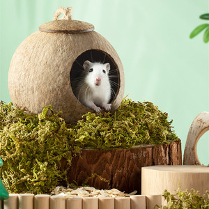 Vỏ Dừa Nhà Cho Chuột Hamster Biệt Thự Lồng Động Vật Nhỏ Làm Mát Cho Chuột Hamster - Product Image 2