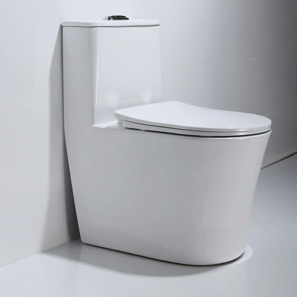 Muebles modernos WC ahorrador de espacio inodoro de cerámica tradicional de una pieza