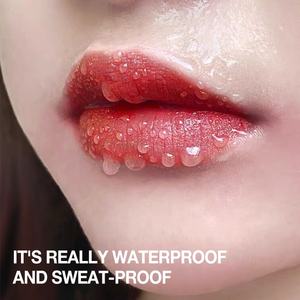 Juego de pintalabios LOZEE de lujo impermeable al por mayor a granel listo para enviar no pegajoso - Product Image 5