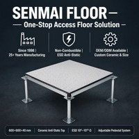 Panel Lantai Terangkat Anti-Statik Keramik Baja Penuh 600x600x40mm untuk Pusat Data & Rumah Sakit, Permukaan ESD Ruang Komputer SENMAI