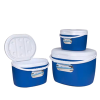 Ensemble de glacières en plastique personnalisées pour l'extérieur, 6L, 14L, 28L, glacières de voyage, pêche, qualité alimentaire, matériau PP, glacières à glace