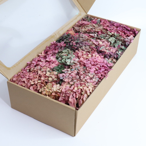 อินส์ สไตล์ ไฮ คุณลิตี้ ฟอร์เอเวอร์ ลาสติ้ง แอนนา ไฮเดรนเยีย กล่อง 100 กรัม หลากสี เป็นมิตรกับสิ่งแวดล้อม สำหรับตกแต่งบ้าน วันอีสเตอร์ วันคริสต์มาส - Product Image 5