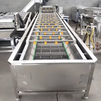 Industriële automatische groente- en aardappelreinigingsmachine met bubbels, fabrieks prijs