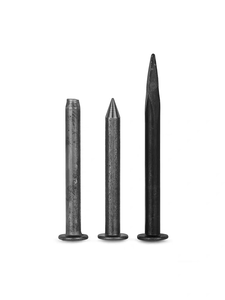 Clou à tête plate <span class=keywords><strong>en</strong></span> acier au carbone, finition naturelle, tailles M8 à M12, pour le travail de finition des pare-pluie sur les chantiers de construction - Product Image 1