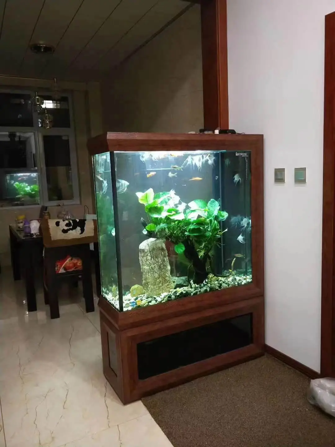 WOLIZE Koi Goldfish Arhat Aquarium ornemental Aquariums et accessoires Aquarium en verre ultra clair 500L