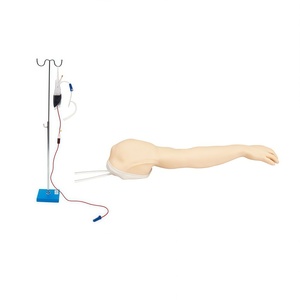 Modelo Completo de Brazo para Venopunción y Acceso Venoso, Entrenamiento de Habilidades de Venopunción, Práctica de Inyección Intramuscular e Intradérmica - Product Image 4