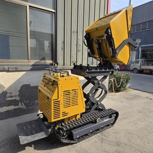 Mini-chargeur sur chenilles avec benne basculante, pompe hydraulique, moteur diesel Briggs & Stratton, capacité 880 kg, benne 450 kg, Chine - Product Image 4