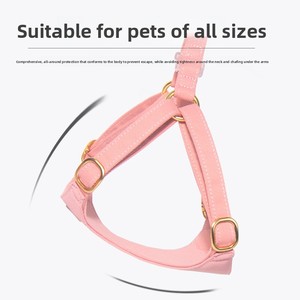 <span class=keywords><strong>Harnais</strong></span> de type gilet <span class=keywords><strong>pour</strong></span> chien, <span class=keywords><strong>pour</strong></span> petit chien, chiot Teacup, non réglable - Product Image 3