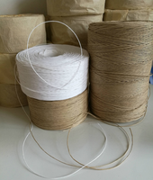 Fil de papier naturel torsadé en gros pour emballage cadeau