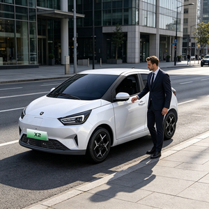 Voiture Électrique Compacte Forthing Mini X2 Haute Sécurité, Grande Capacité, Longue Autonomie, Idéale pour les Marchés Africains et d'Asie du Sud-Est - Product Image 1