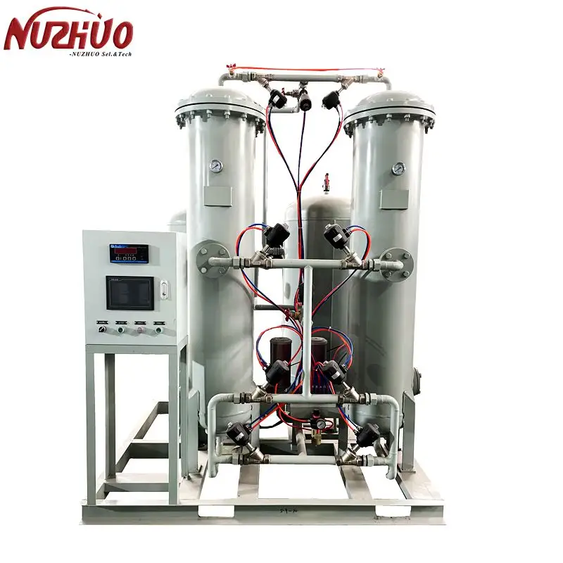 NUZHUO uso industriale controllo PLC completamente automatico generatore di Gas azoto PSA