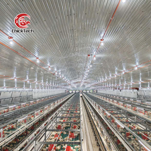 Nouvelle cage automatique pour poulets pondeuses de <span class=keywords><strong>type</strong></span> <span class=keywords><strong>A</strong></span>, en acier galvanisé à chaud argenté, durée de vie supérieure à 18 ans pour l'élevage avicole - Product Image 3