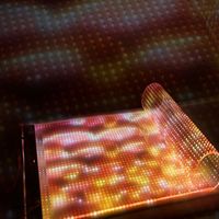 Écrans vidéo LED transparents haute luminosité P5 P6 P8 P10, film d'écran LED en bande, angle de vision de 170°, garantie 3 ans