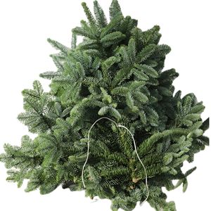 Branches de pin Norbeau authentiques Mingflora en provenance du Danemark, niveau 1, décorations florales de Noël - Product Image 3